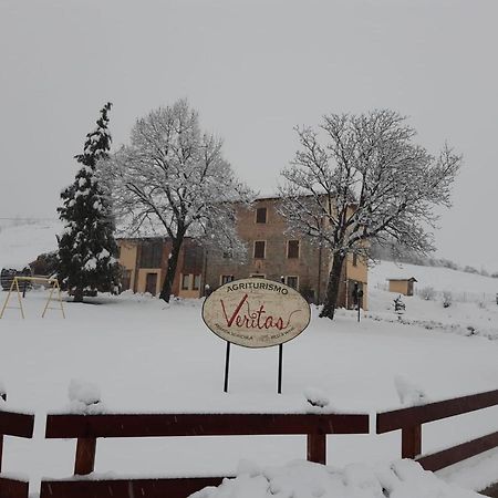 Agriturismo "Veritas" Bed & Wine Casaleggio Boiro Luaran gambar